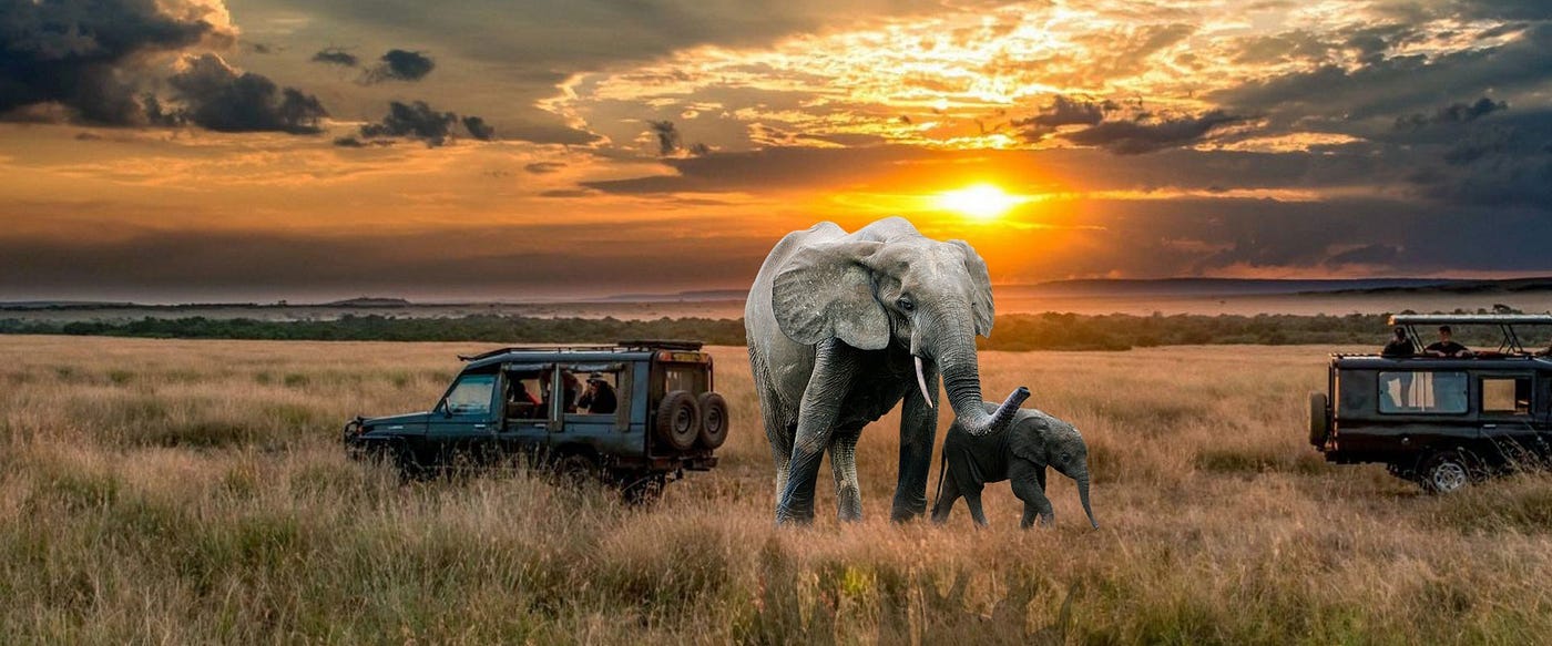 Maasai Mara