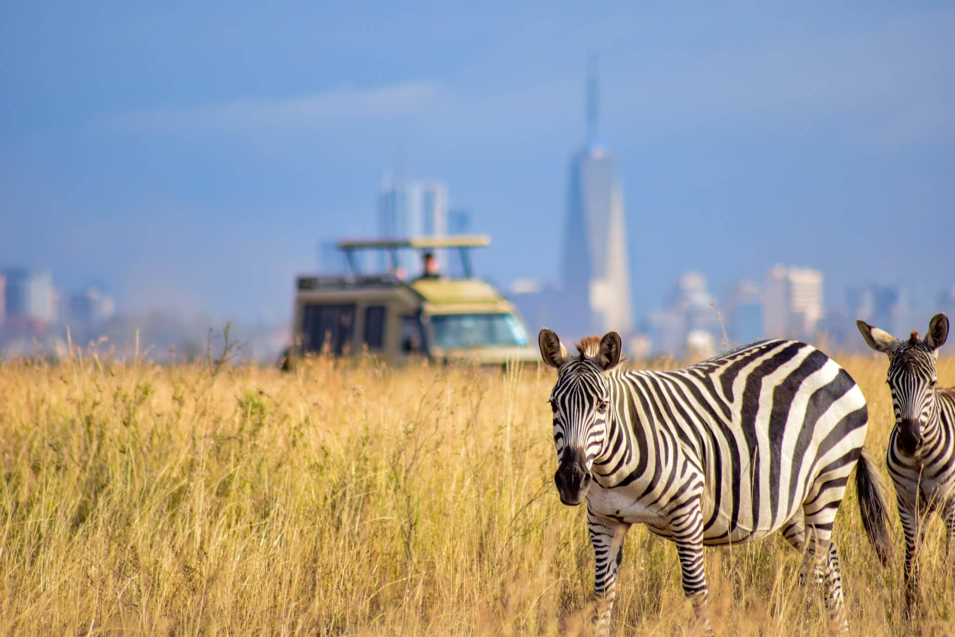 Nairobi Park