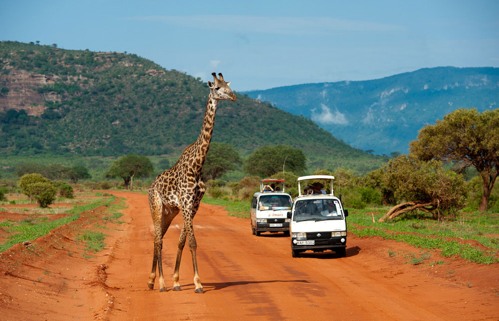 Tsavo