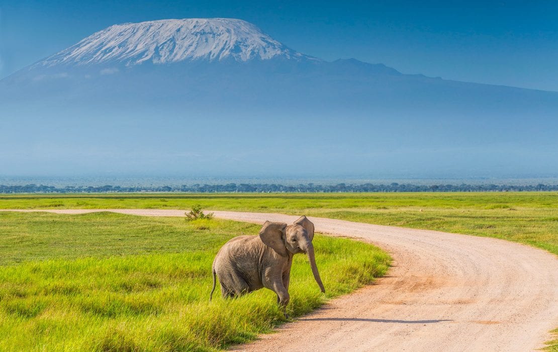 Amboseli